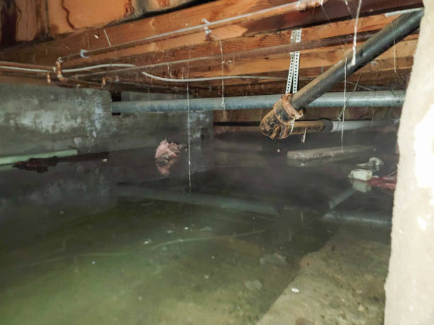 Best Water damage mitigation services  in Strathmore, CA