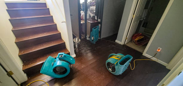 Best Water damage cleanup near me  in Strathmore, CA