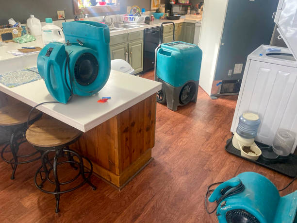 Best Commercial water damage restoration  in Strathmore, CA