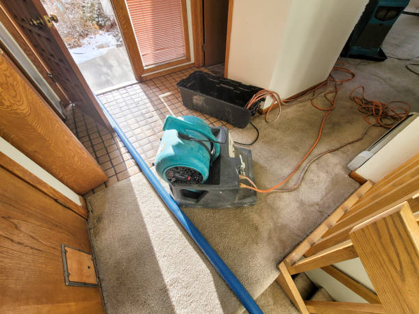 Best Professional water damage repair  in Strathmore, CA