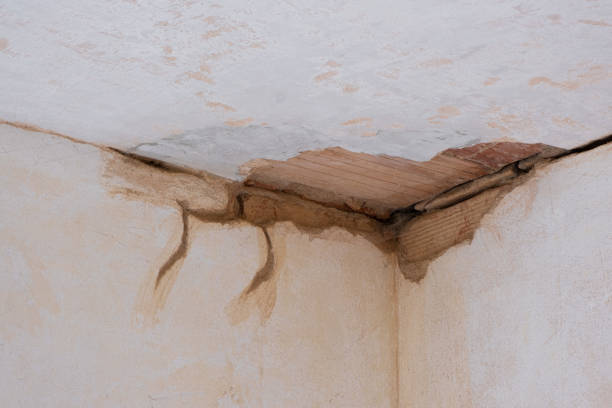 Best Ceiling water damage repair  in Strathmore, CA