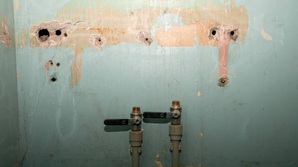 Best Water damage restoration near me  in Strathmore, CA
