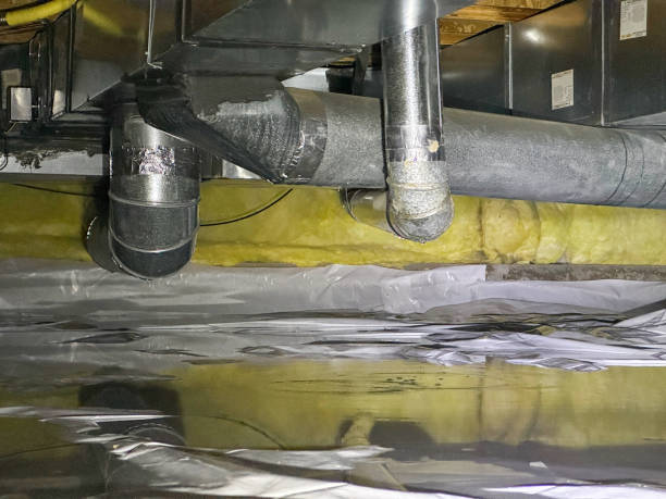 Best Mold removal after water damage  in Strathmore, CA