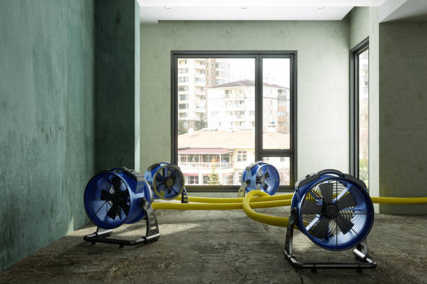 Best 24/7 water damage repair  in Strathmore, CA